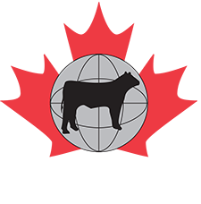 Canadian Beef Grading Agency