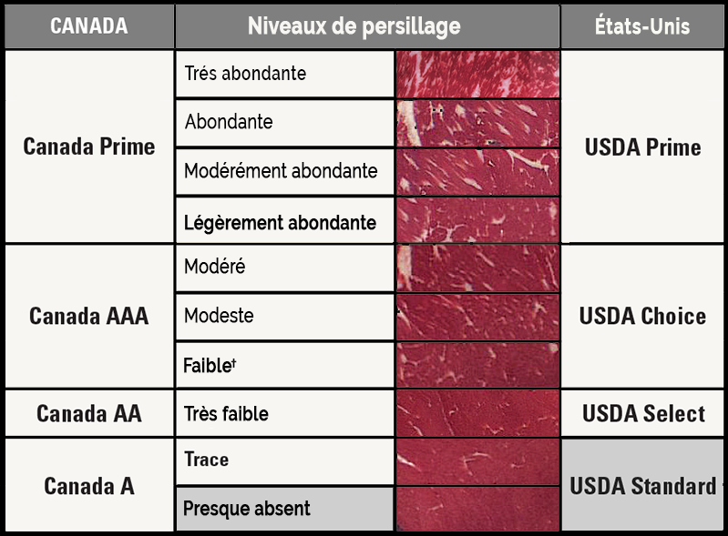 Niveaux de persillage du boeuf